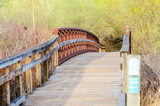Mercer Slough Nature Park